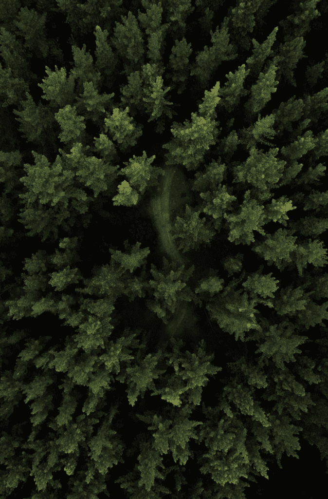 image 69